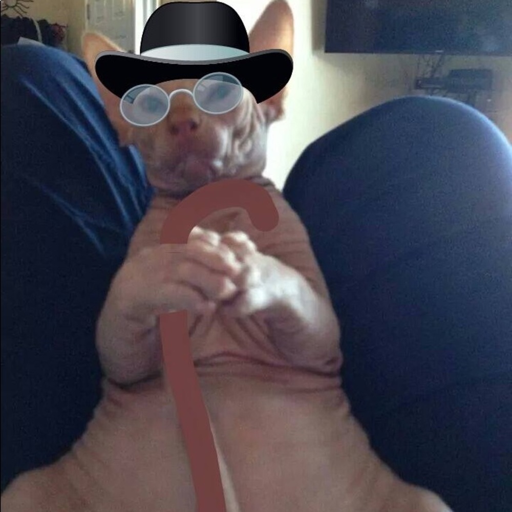 Meet your Posher, Michael